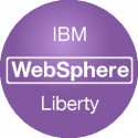 IBM WebSphere Liberty Profile Plugin