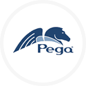 Pega Rules Engine integration Task